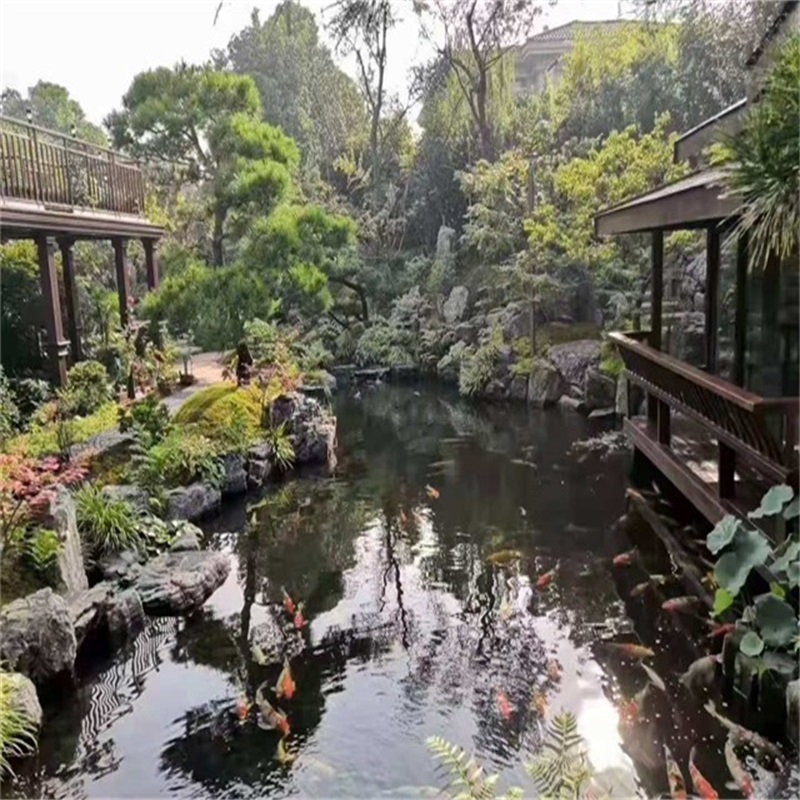 拱墅假山植物小鱼池